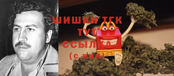 гидра Армянск