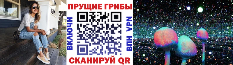 Галлюциногенные грибы прущие грибы  где можно купить   Буй 